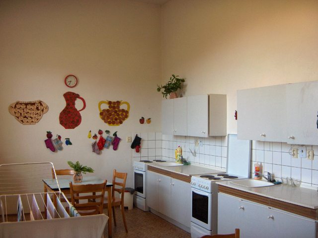 cvin kuchy zvtit