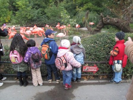 v ZOO 2 zvtit